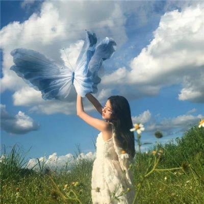 幻乐森林
